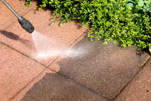 Roof Power Washing Services in Rocky Point, WA